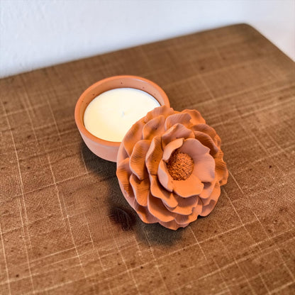 Terracotta & Tide