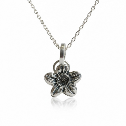 Violet Morning Charm