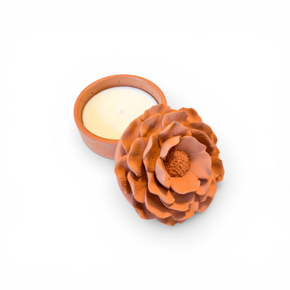 Terracotta & Tide