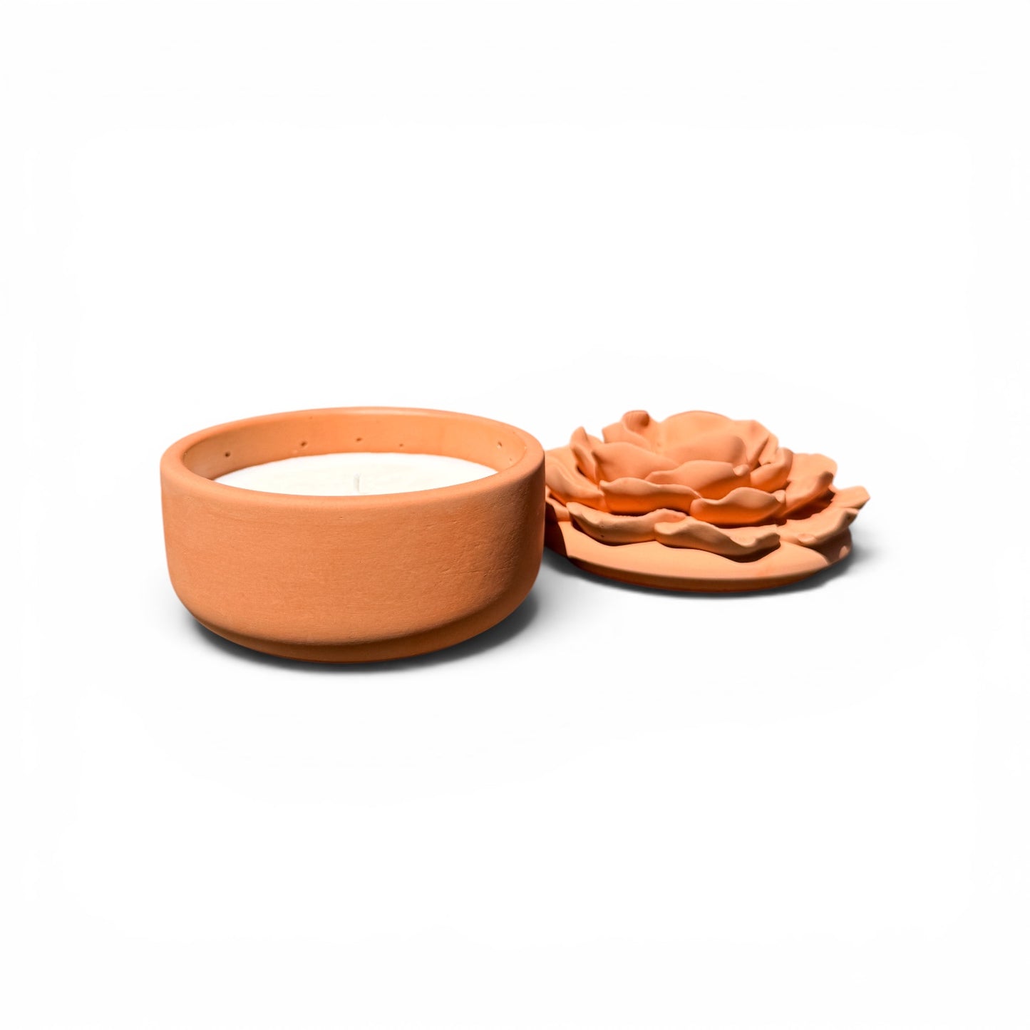 Terracotta & Tide
